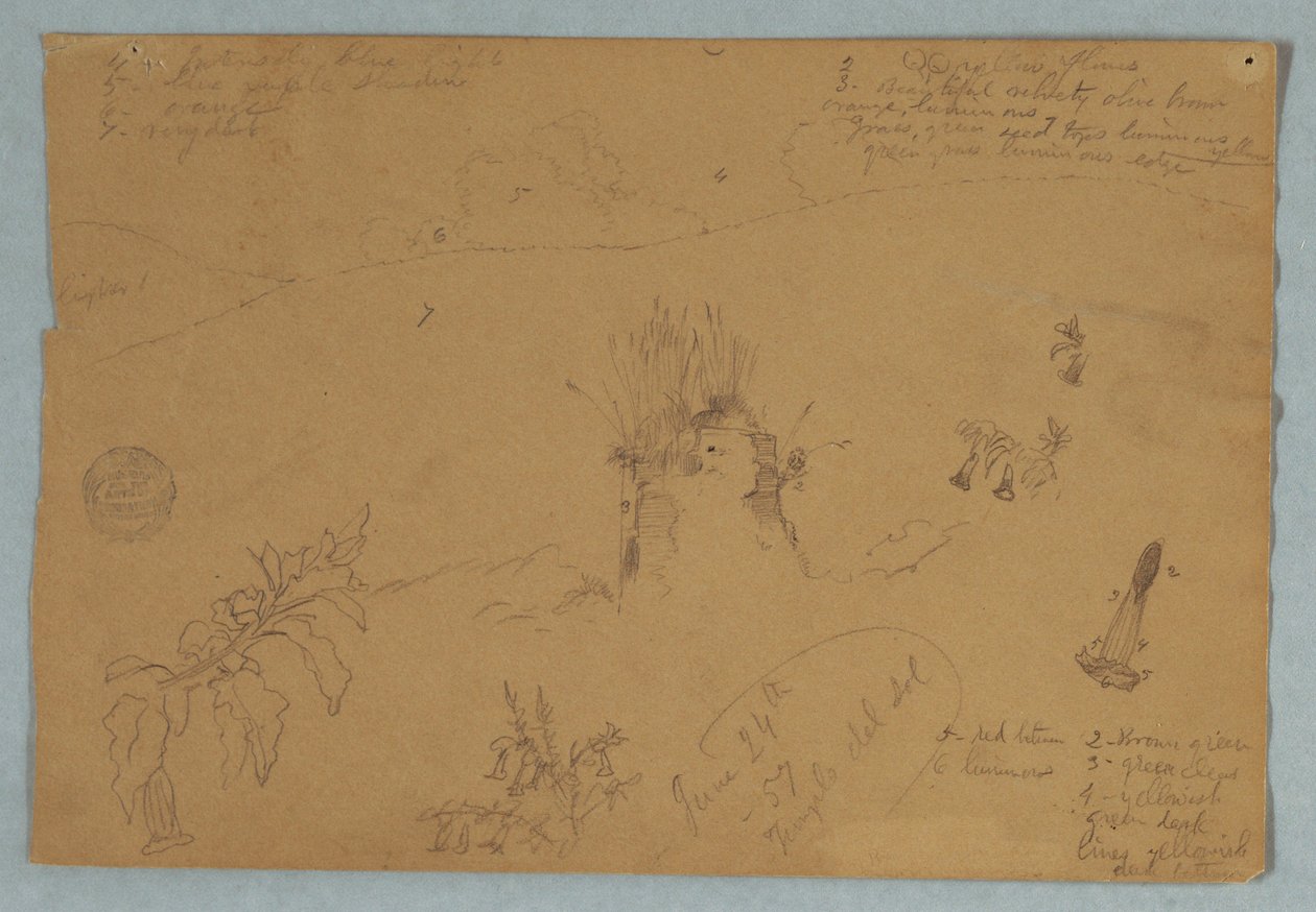 Disegno, Disegno.  Schizzi botanici e di nuvole vicino a Quito, Ecuador, 24 giugno 1857 da Frederic Edwin Church