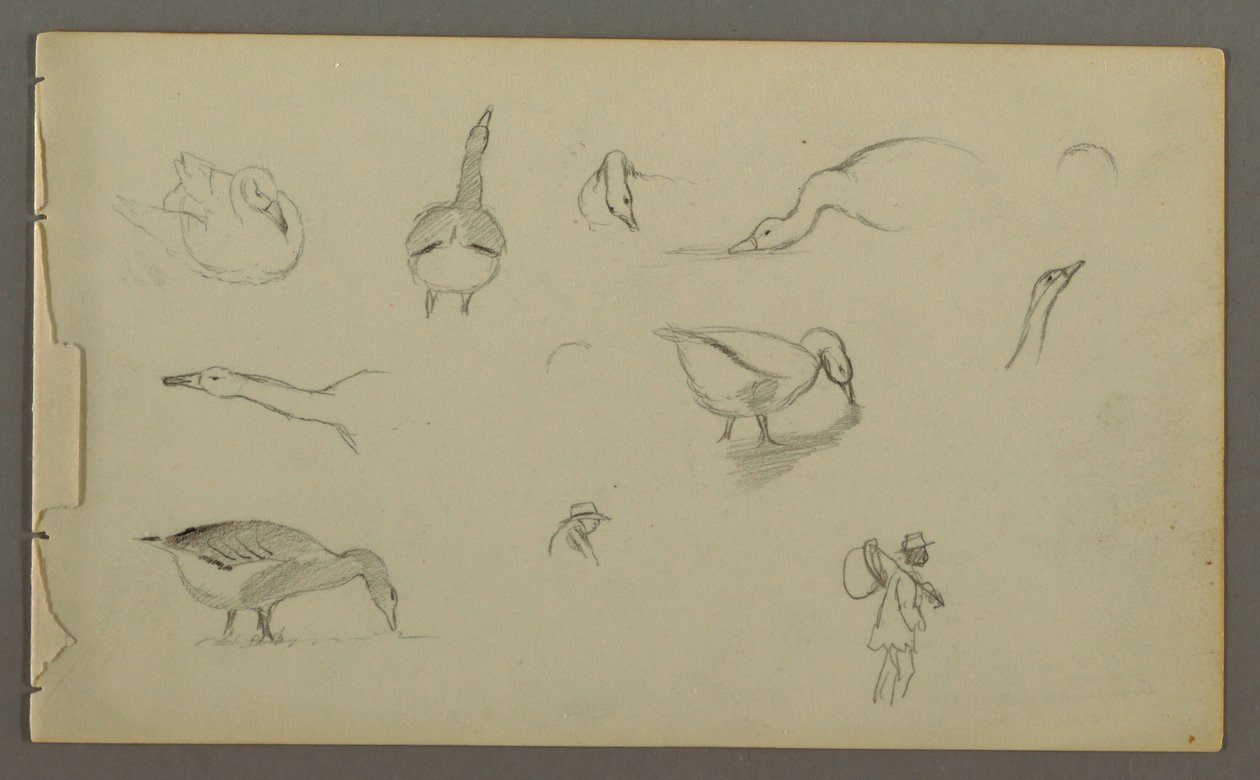 Disegno, Otto studi di anatre, due stuidi di figura, forse 1857-58 da Frederic Edwin Church