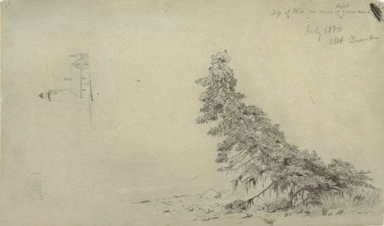 Disegno, Albero sempreverde vicino alla riva con un dettaglio del faro e di una casa, Mount Desert, Maine, luglio 1850 da Frederic Edwin Church