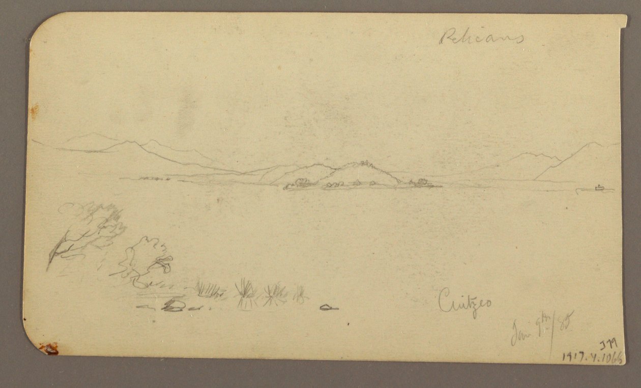 Disegno, Figura e carro a buoi, cipresso; verso: Veduta del lago Cuitzeo, gennaio 1885 da Frederic Edwin Church