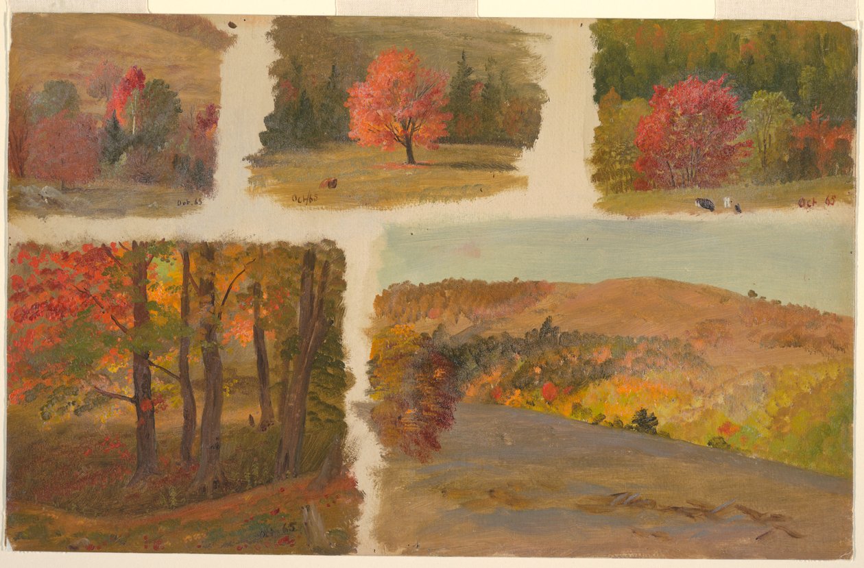 Disegno, Cinque studi di paesaggio autunnale, forse Vermont, ottobre 1865 da Frederic Edwin Church