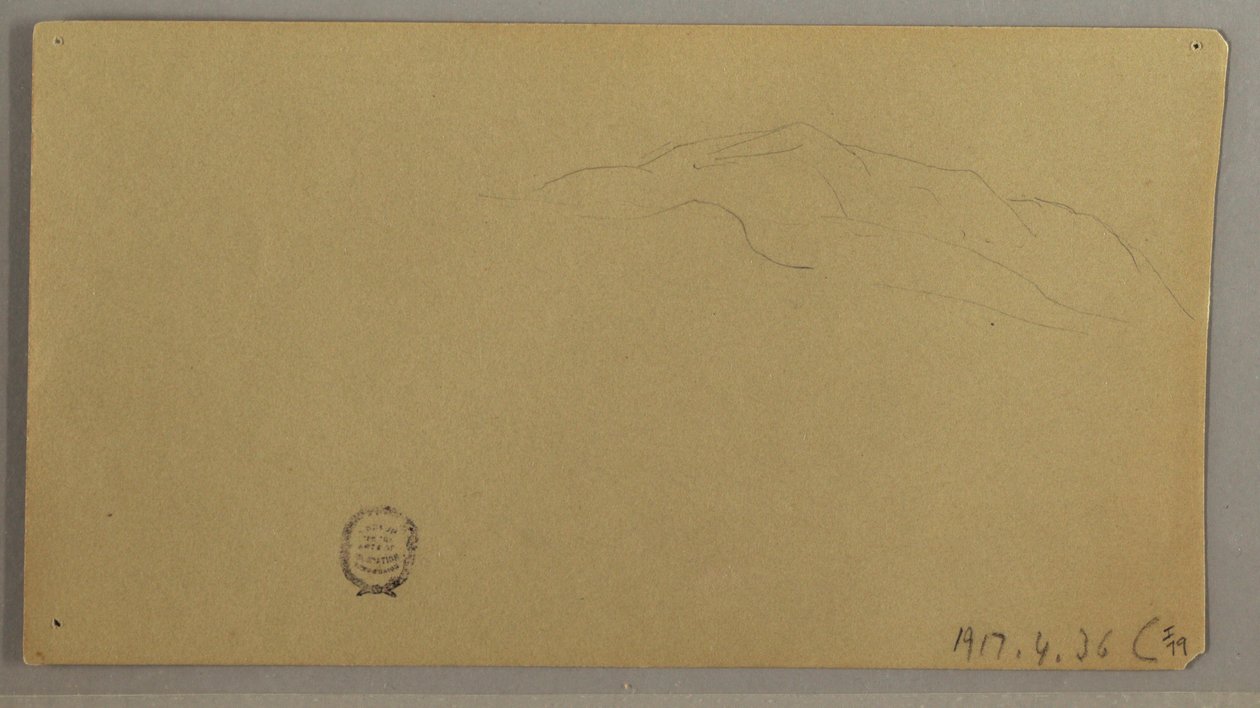 Disegno, Piante in fiore, 1856 ca. da Frederic Edwin Church