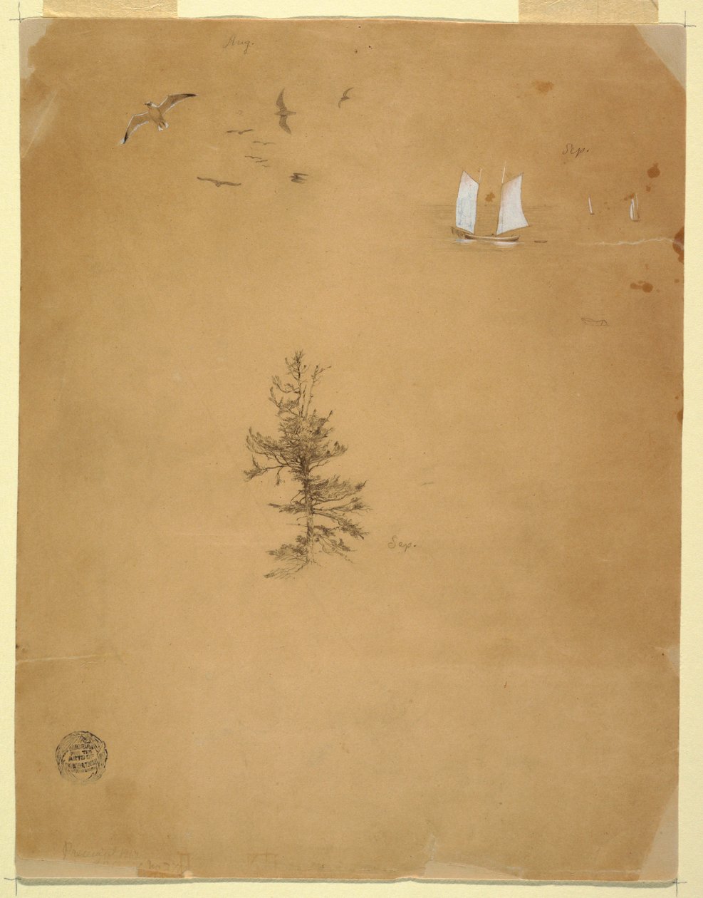 Disegno, Gabbiani, barche a vela, albero, agosto e settembre 1859 da Frederic Edwin Church