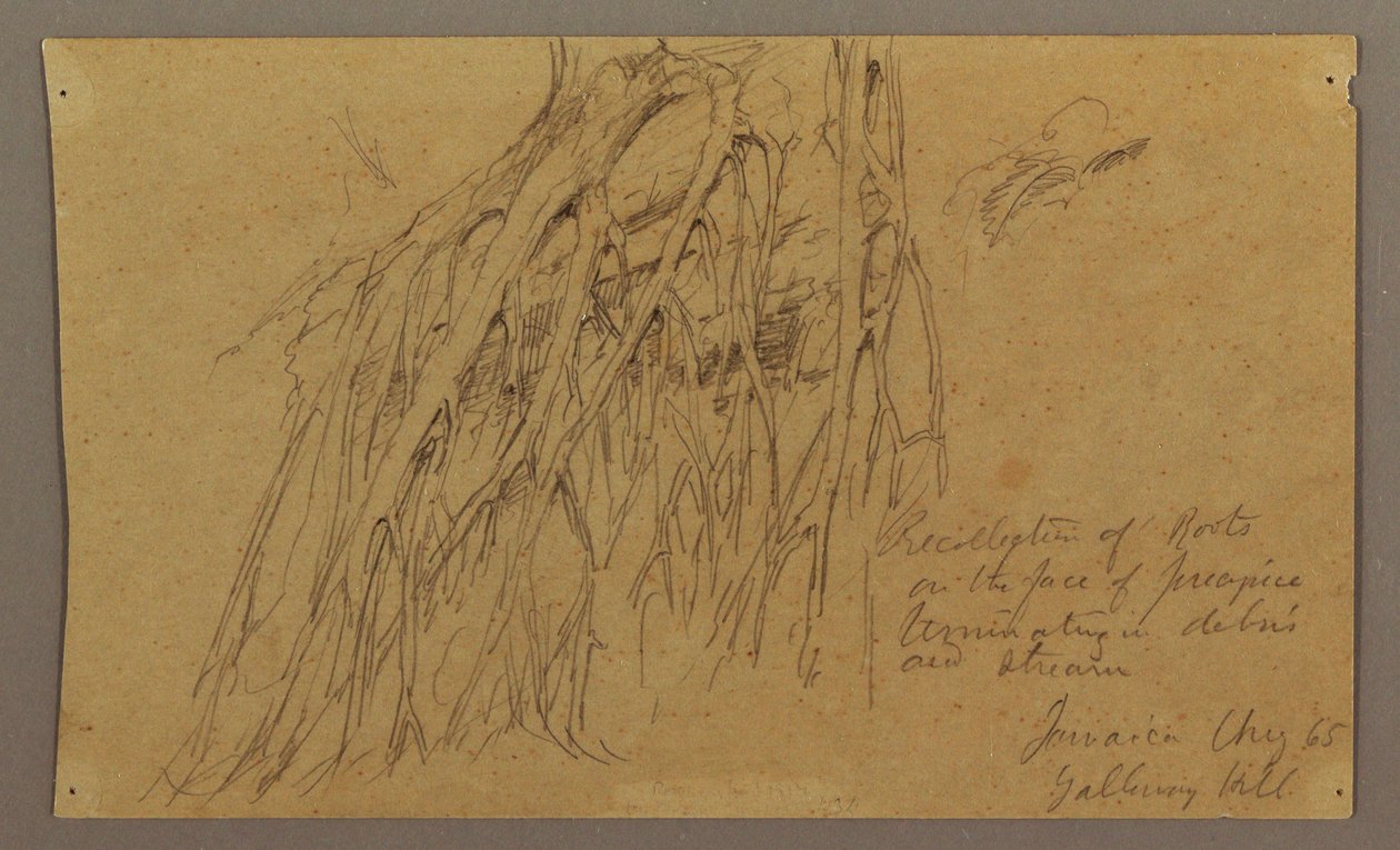 Disegno, Radici pendenti, Galleway Hill, agosto 1865 da Frederic Edwin Church