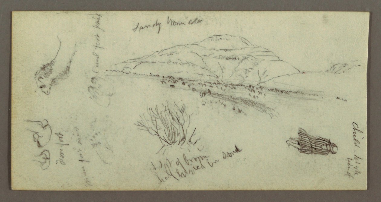 Disegno, collina, arbusto, figura, studi sul cammello, forse 1868 da Frederic Edwin Church