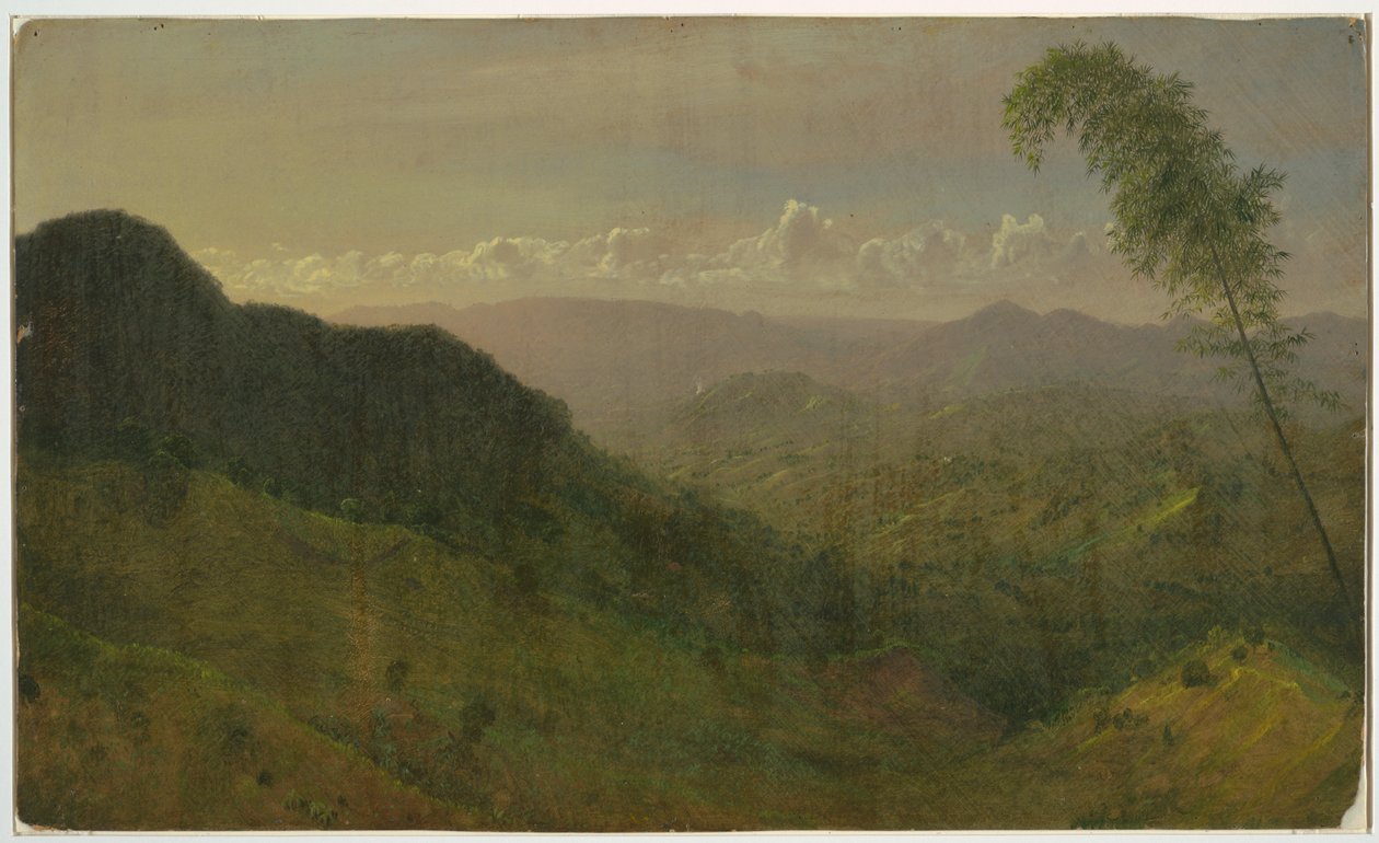Disegno, Paesaggio collinare, 1865 da Frederic Edwin Church