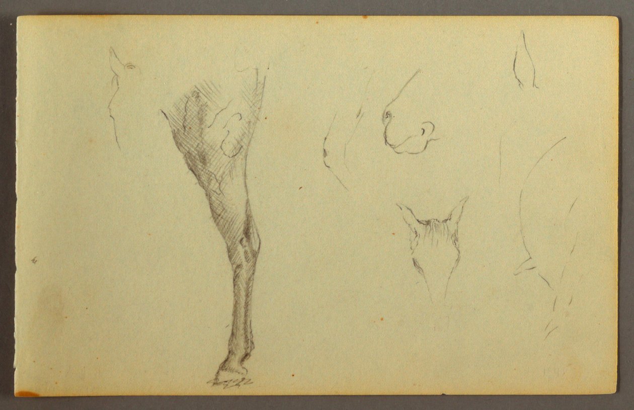 Disegno, Studi di cavalli, forse 1844 da Frederic Edwin Church