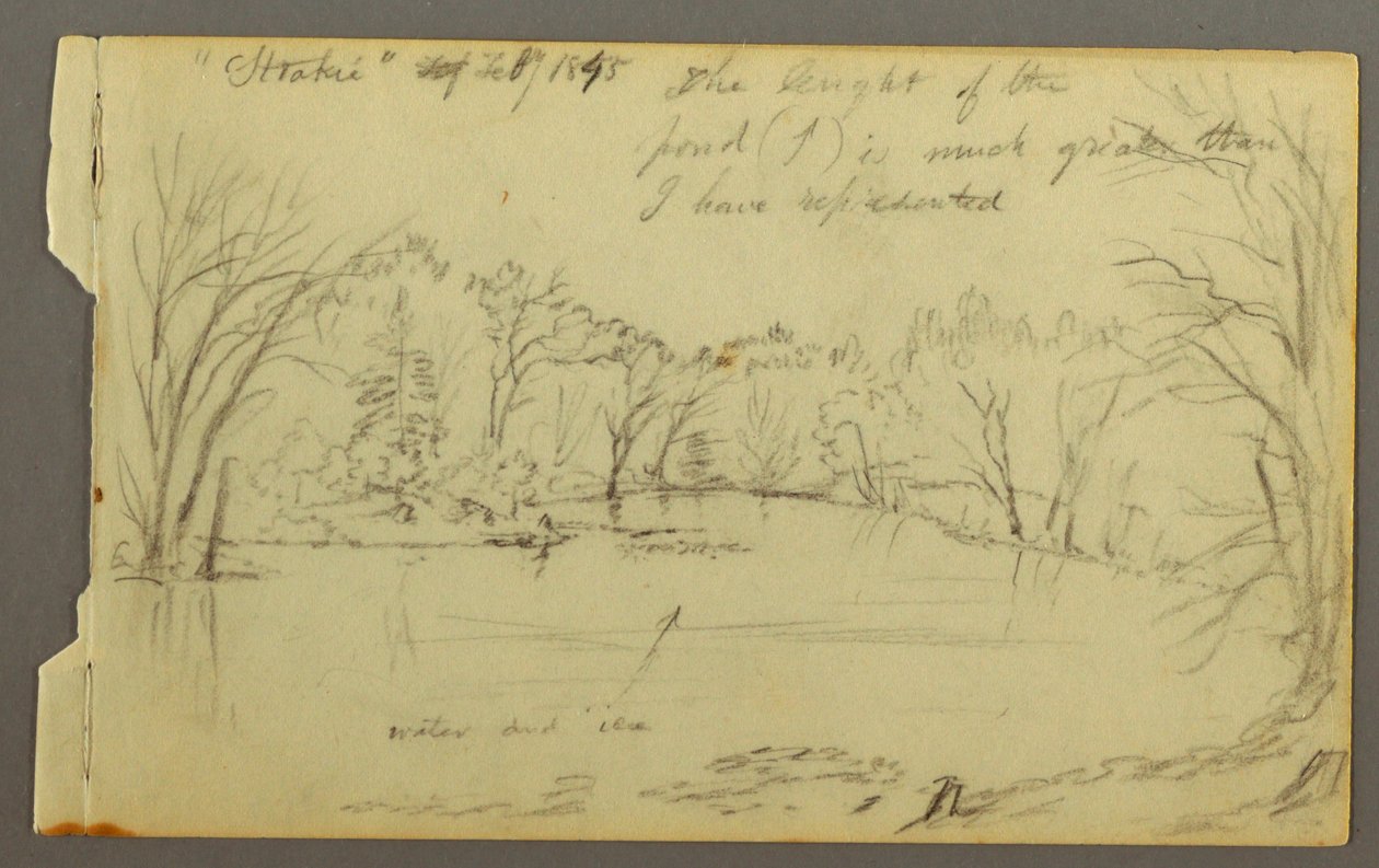 Disegno, stagno di Htakie () delimitato da alberi, 1845 da Frederic Edwin Church