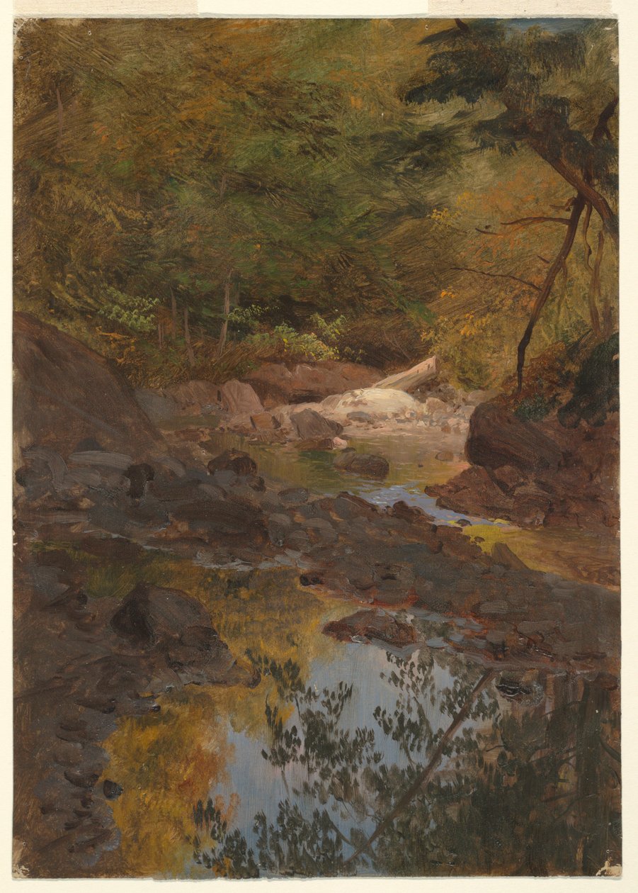 Disegno, Nei boschi del New England, 1855-65 da Frederic Edwin Church