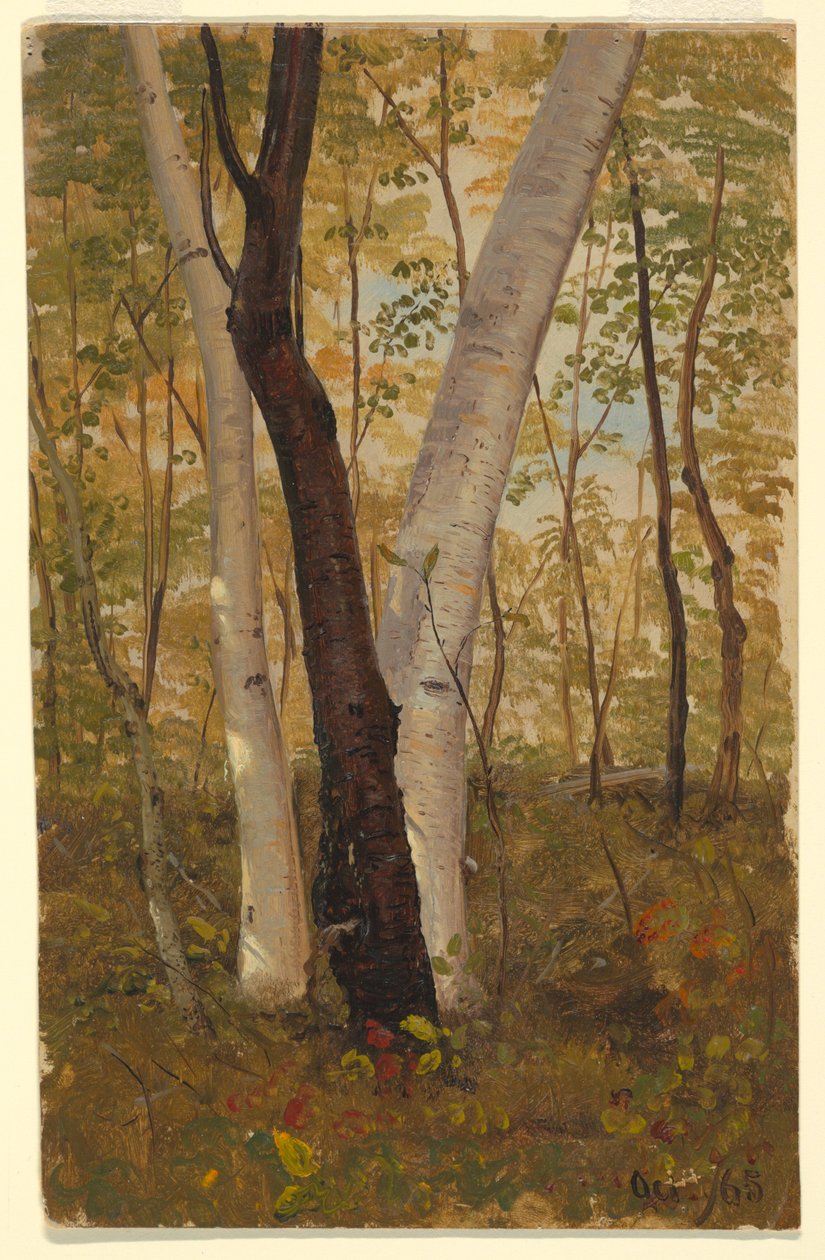 Disegno, Nel bosco, Hudson, New York, ottobre 1865 da Frederic Edwin Church