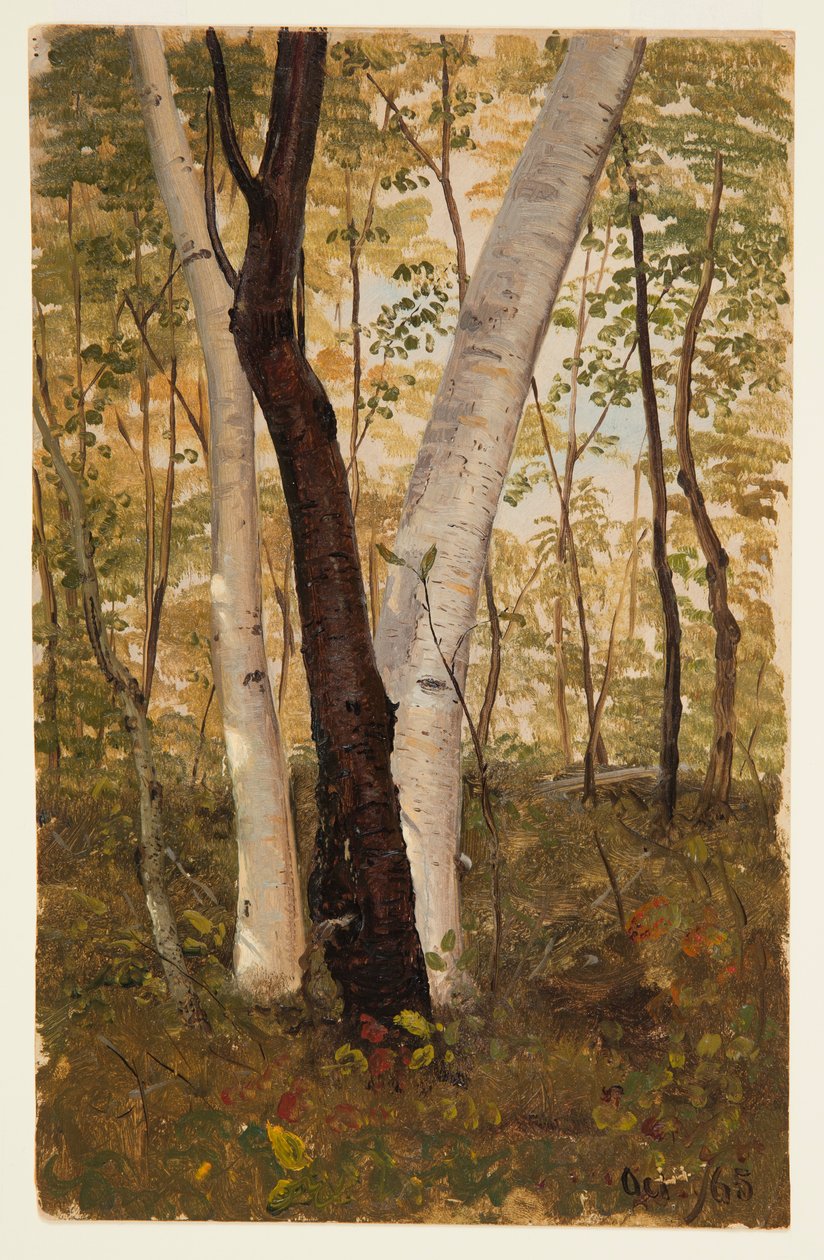 Disegno, Nel bosco, Hudson, New York, ottobre 1865 da Frederic Edwin Church