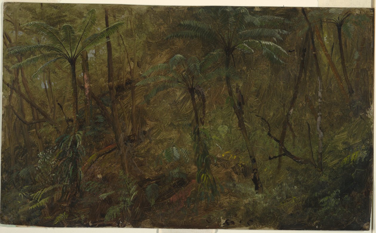Disegno, Nei boschi di Jamacia, Indie Occidentali, 1865 da Frederic Edwin Church