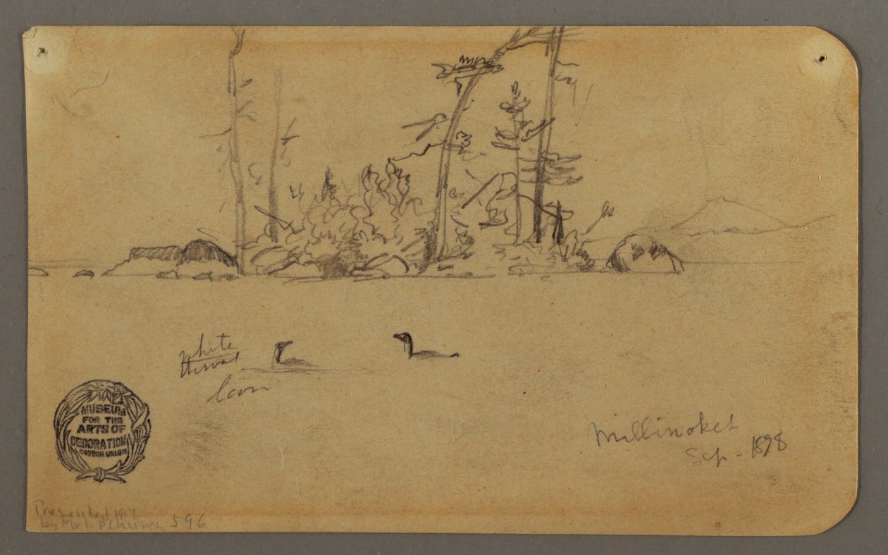Disegno, Isola, Due loon, 1878 da Frederic Edwin Church