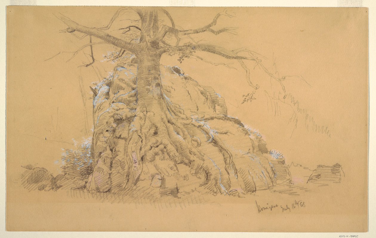 Disegno, albero di Königssee, 16 luglio 1868 da Frederic Edwin Church