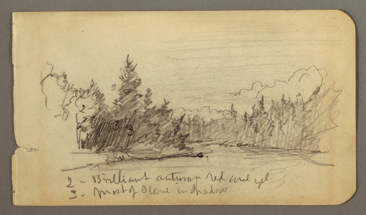 Disegno, Lago circondato da alberi, forse 1878 da Frederic Edwin Church