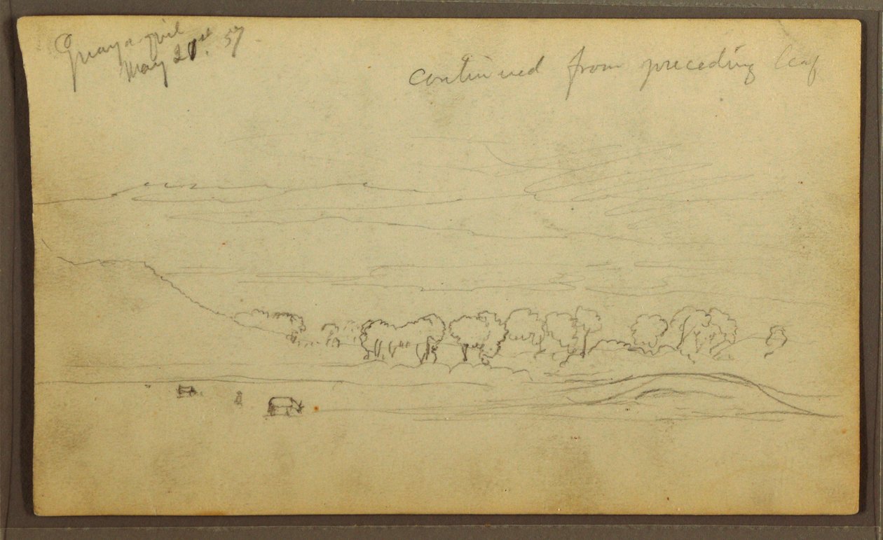 Disegno, Paesaggio, Guayaquil, Ecuador, 21 maggio 1857 da Frederic Edwin Church
