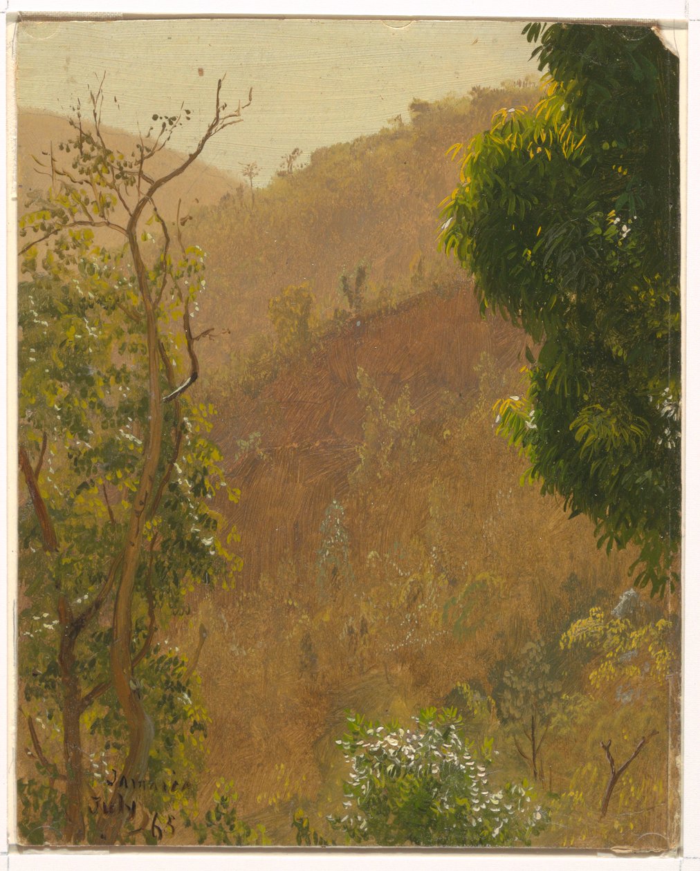 Disegno, Paesaggio, luglio 1865 da Frederic Edwin Church