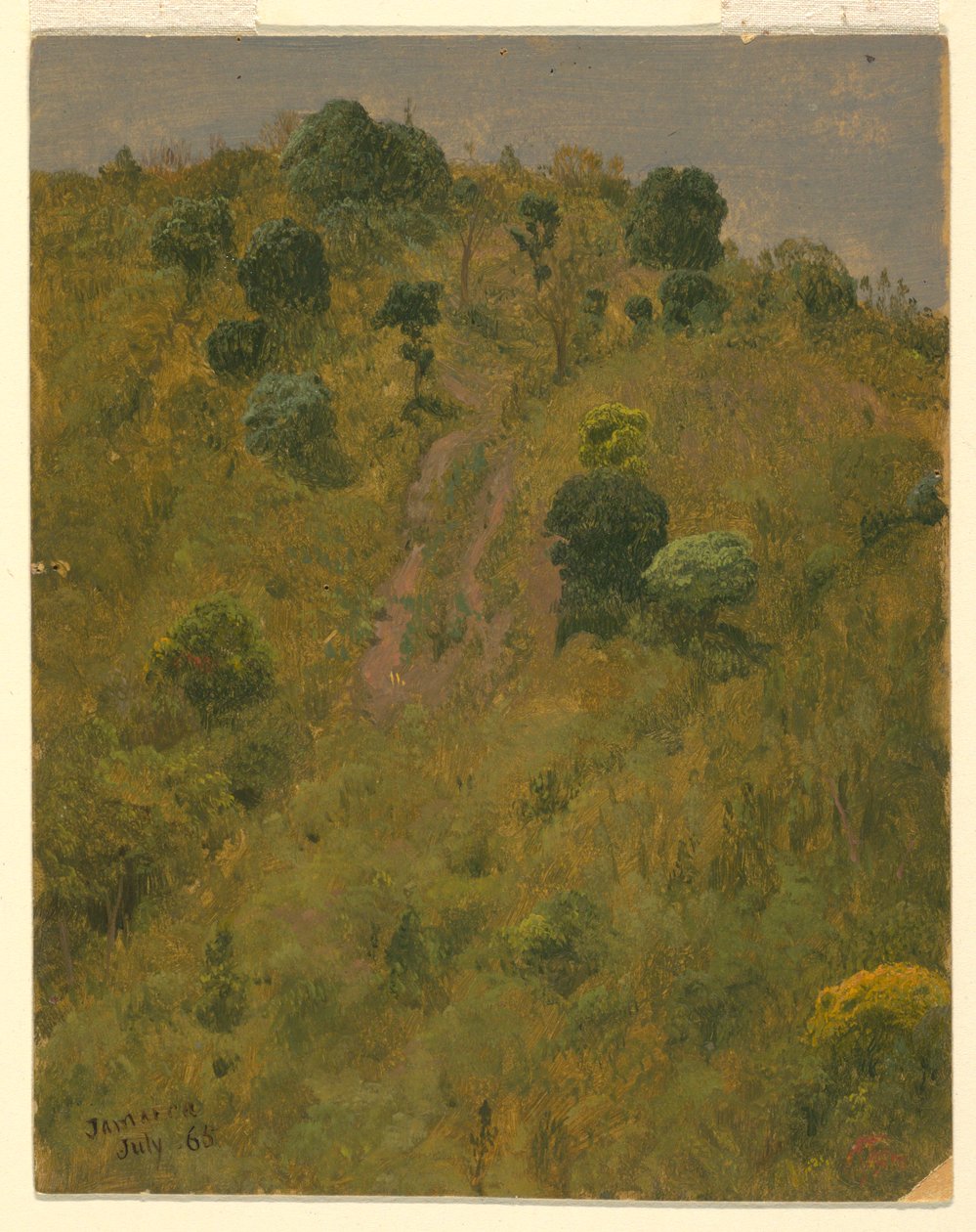 Disegno, Paesaggio, luglio 1865 da Frederic Edwin Church