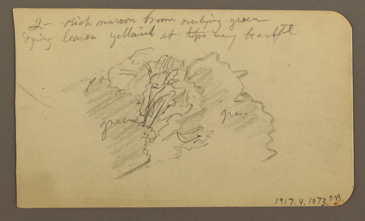 Disegno, Paesaggio, case; verso: cima dell