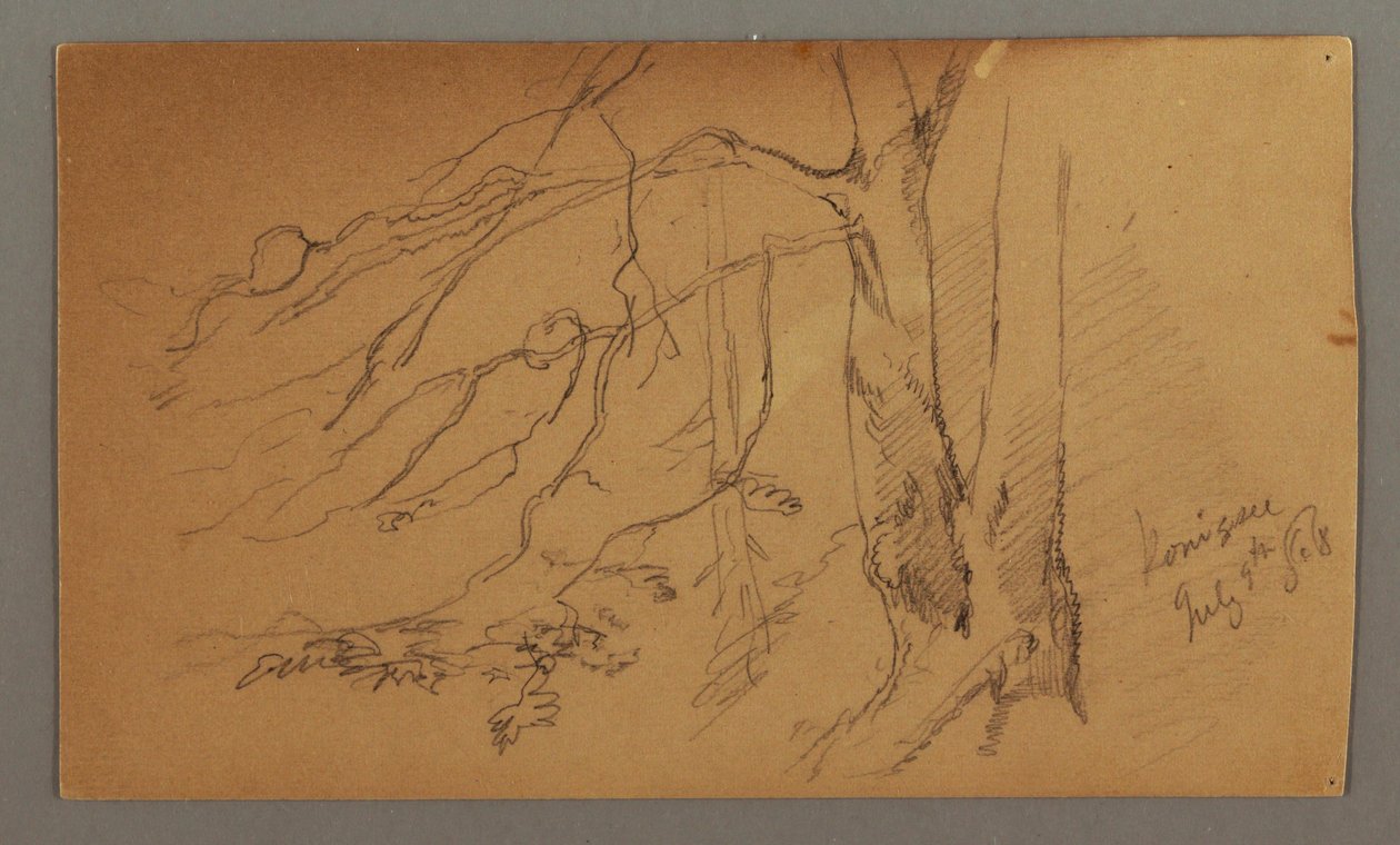 Disegno, metà inferiore dell