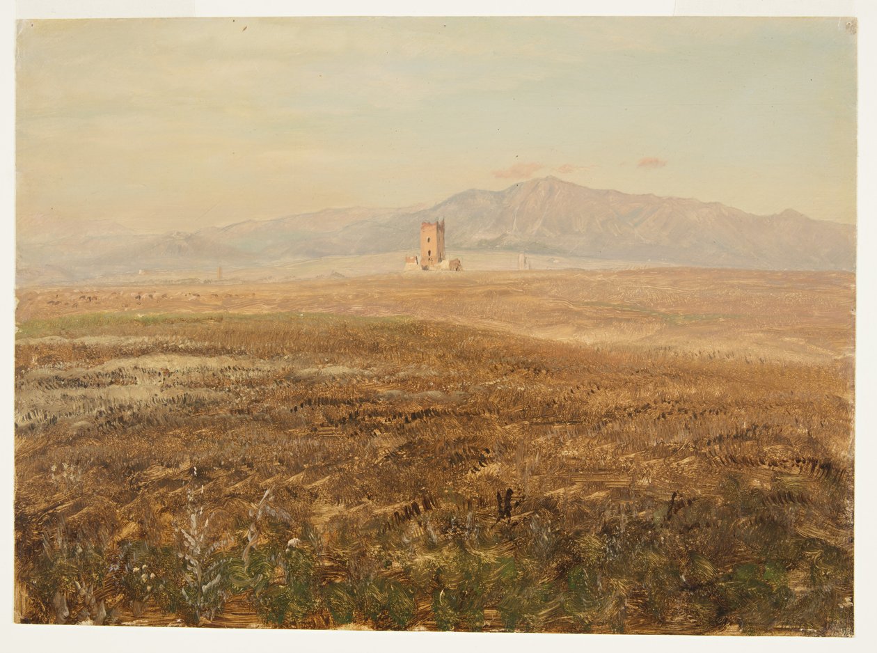 Disegno, paesaggio messicano, aprile 1869 da Frederic Edwin Church