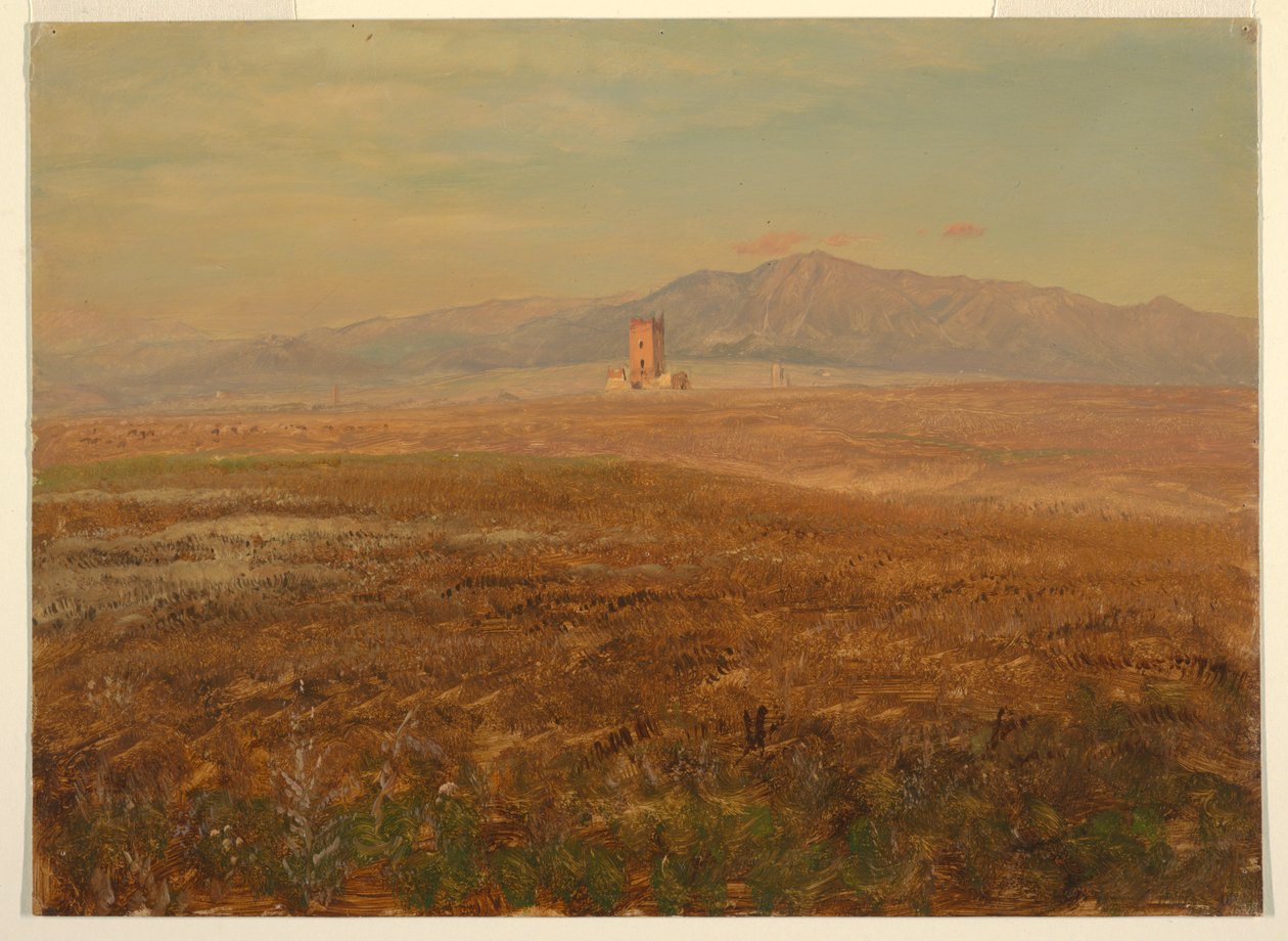 Disegno, paesaggio messicano, aprile 1869 da Frederic Edwin Church