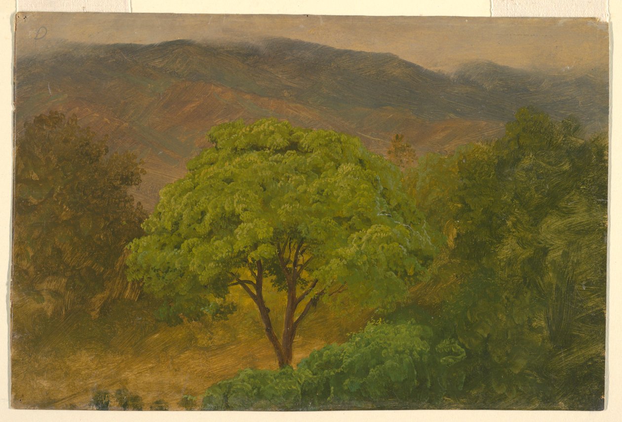 Disegno, Paesaggio montano, agosto 1865 da Frederic Edwin Church