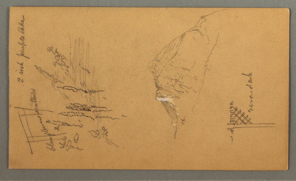 Disegno, Picco di montagna, vegetazione in piscina, 1868 da Frederic Edwin Church