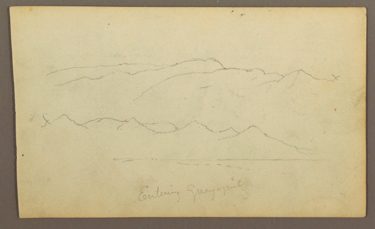 Disegno, catene montuose "entrando a Guayaquil"; verso: riva del fiume, schizzi botanici, forse 1857 da Frederic Edwin Church