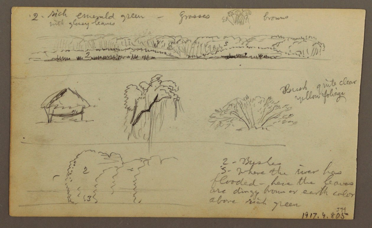 Disegno, catene montuose "entrando a Guayaquil"; verso: riva del fiume, schizzi botanici, forse 1857 da Frederic Edwin Church