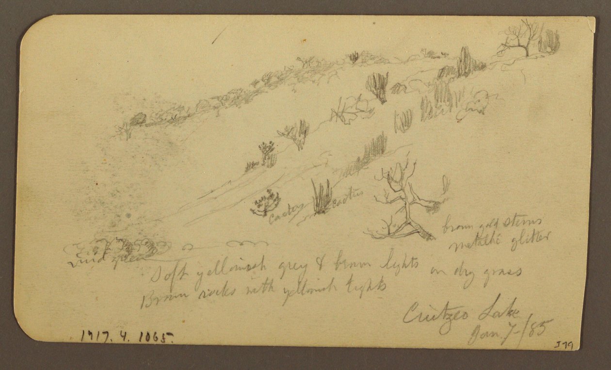 Disegno, Montagna, Zapotlan; verso: Collina boscosa, Lago Cuitzeo, gennaio 1885 da Frederic Edwin Church