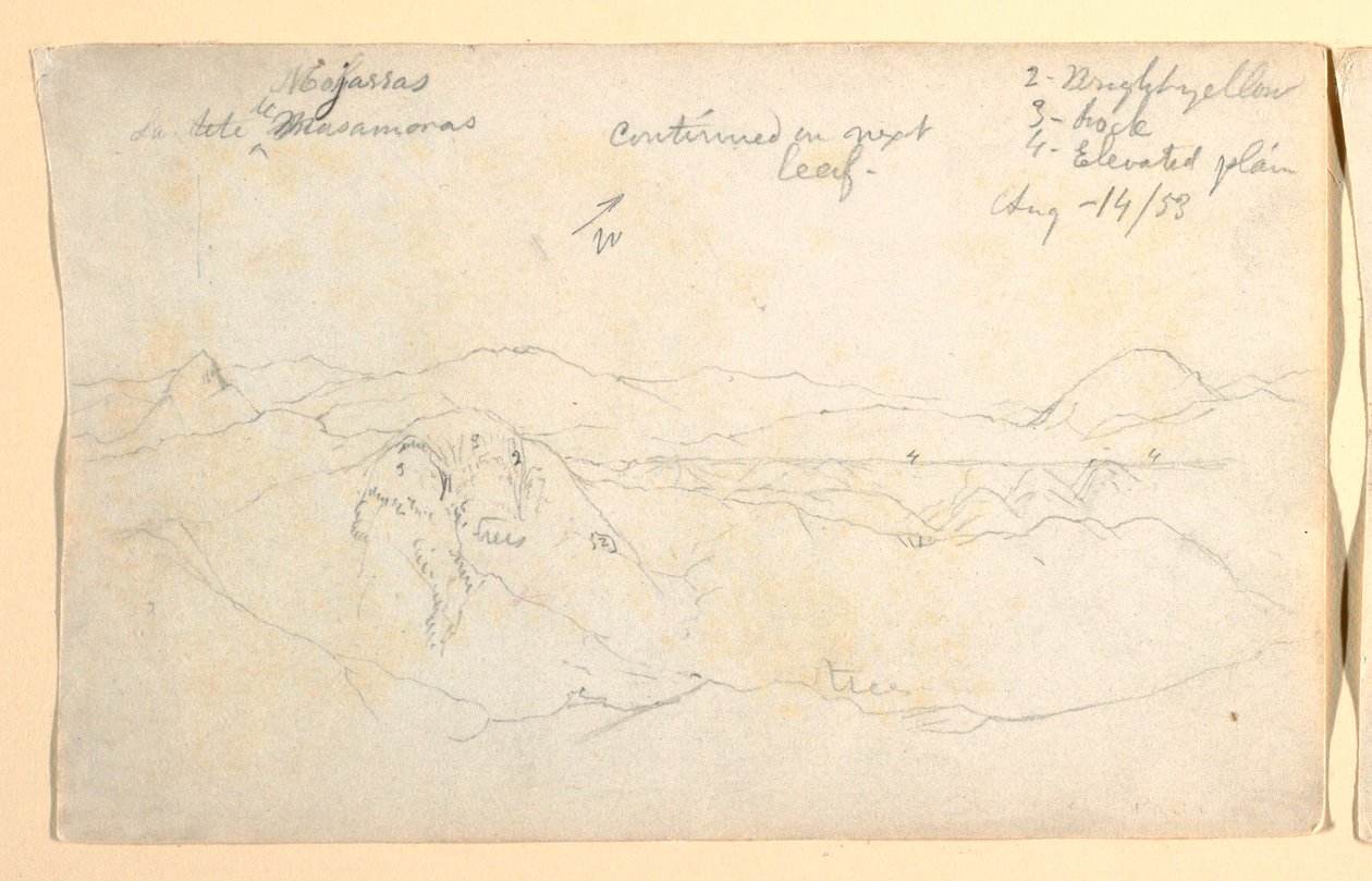Disegno, Paesaggio montano, Colombia, 14 agosto 1853 da Frederic Edwin Church