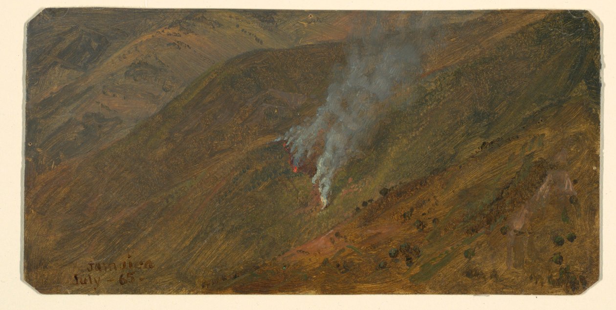 Disegno, versante della montagna con fuoco di sterpaglie, giugno 1865 da Frederic Edwin Church