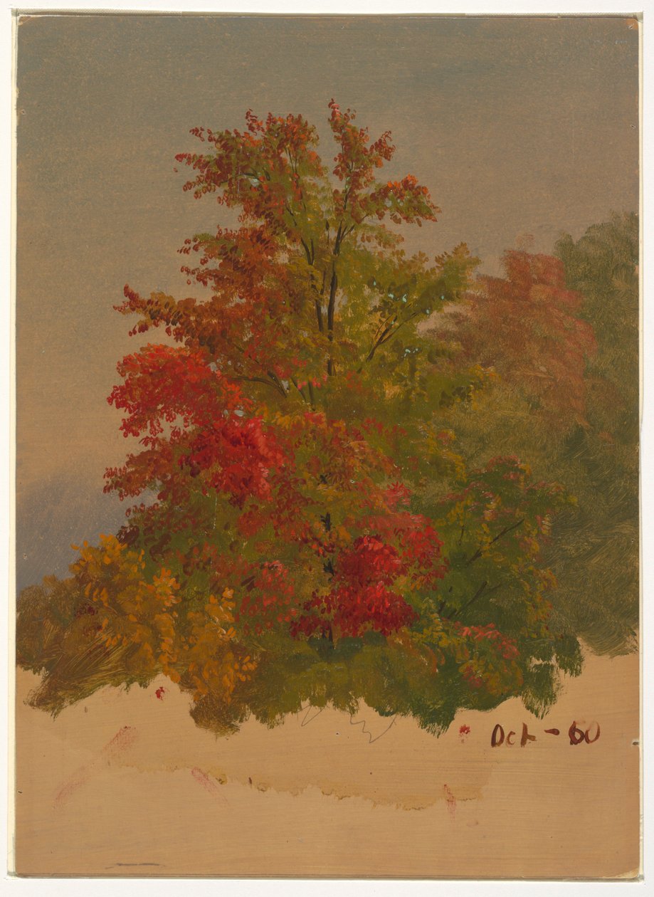 Disegno, Mt. Desert Island , Maine, ottobre 1860 da Frederic Edwin Church