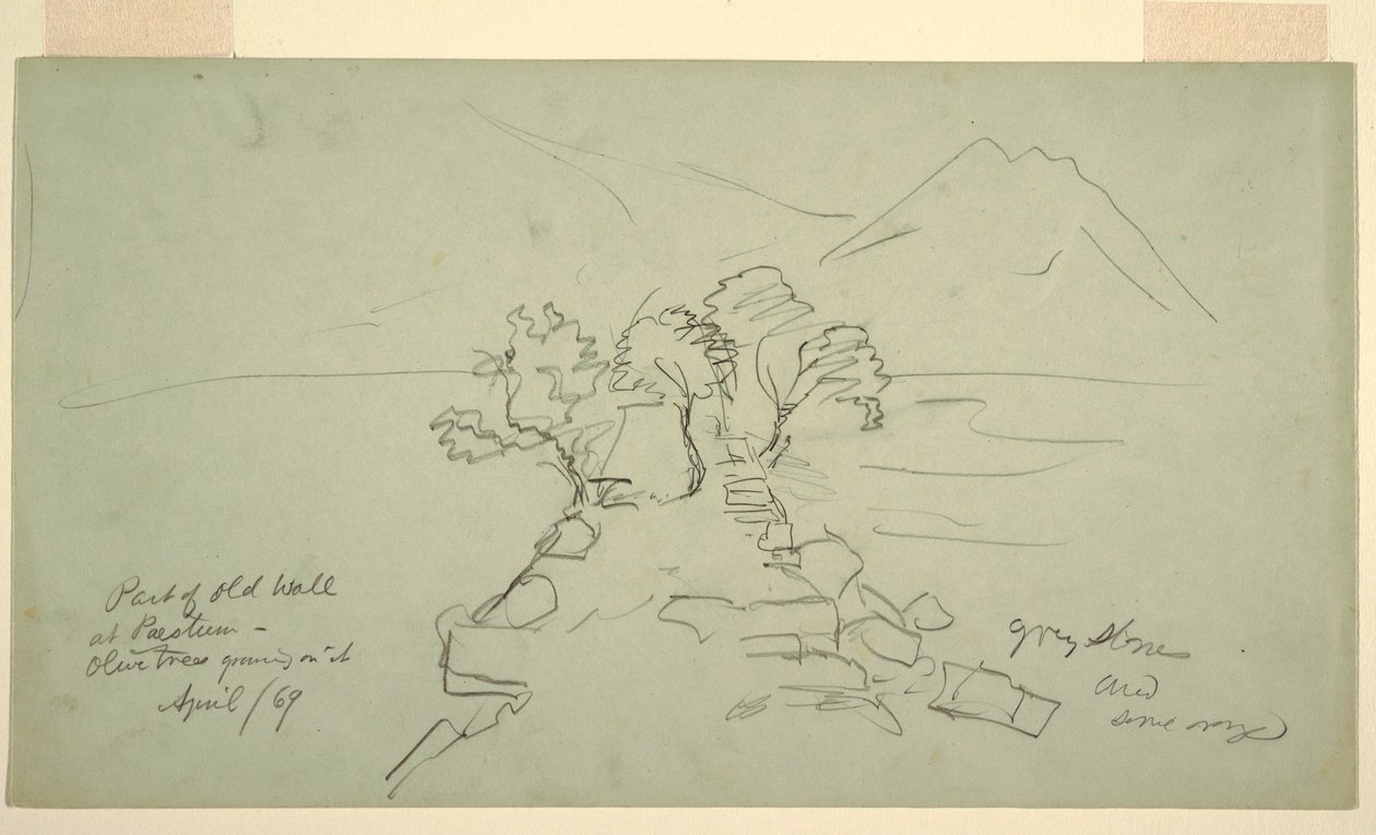 Disegno, parte del vecchio muro di Paestum, con gli ulivi che vi crescono sopra, aprile 1869 da Frederic Edwin Church