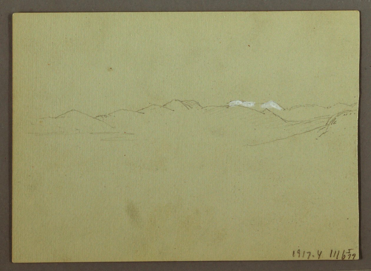 Disegno, Studio di piante e paesaggio, 28 aprile 1869 da Frederic Edwin Church
