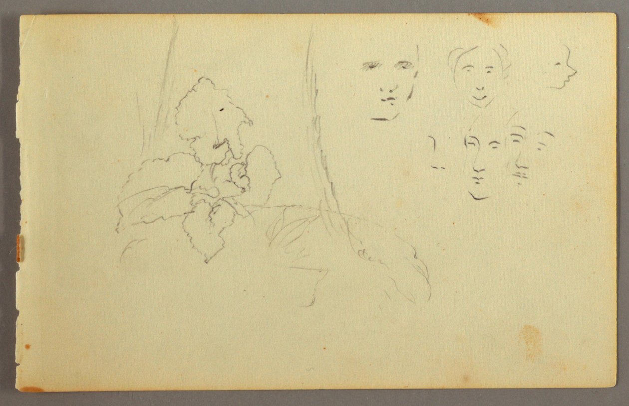 Disegno, studio di piante, volti, forse 1844 da Frederic Edwin Church