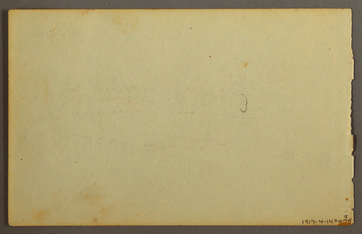 Disegno, studio di piante, volti, forse 1844 da Frederic Edwin Church
