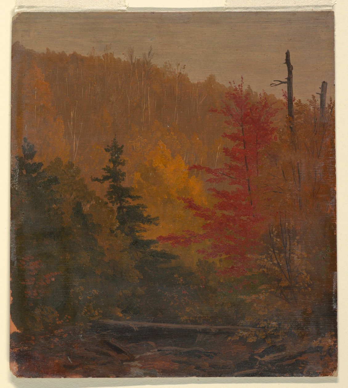 Disegno, probabilmente vicino a Katahdin, autunno 1865-70 da Frederic Edwin Church