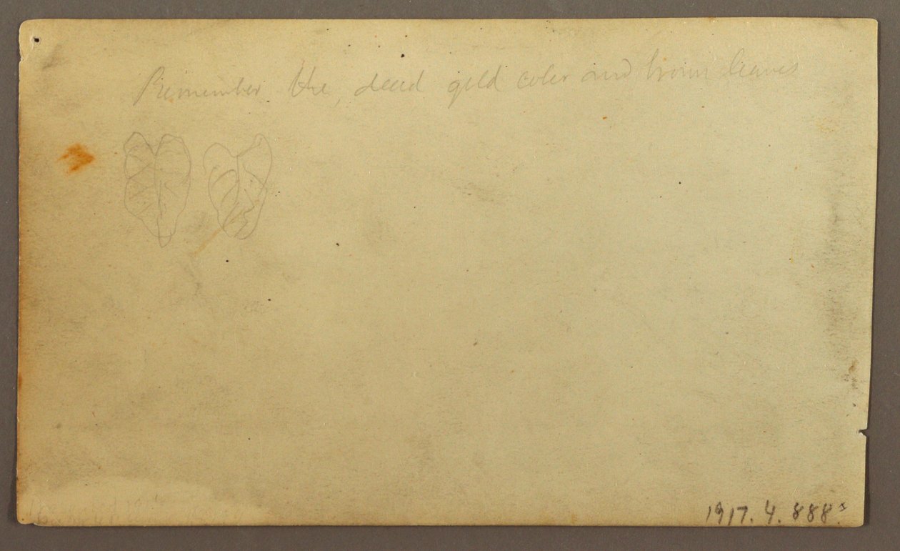 Disegno, Fiume Limona vicino a un villaggio, Ecuador o Colombia; verso: Foglie, 1857 da Frederic Edwin Church