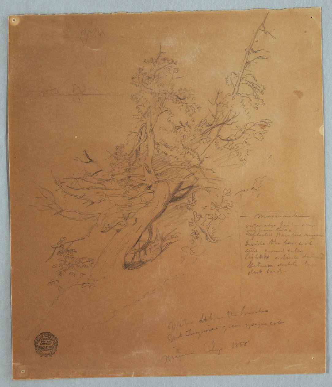 Disegno, Albero robusto presso la Banca canadese sotto le cascate del Niagara, settembre 1856 da Frederic Edwin Church