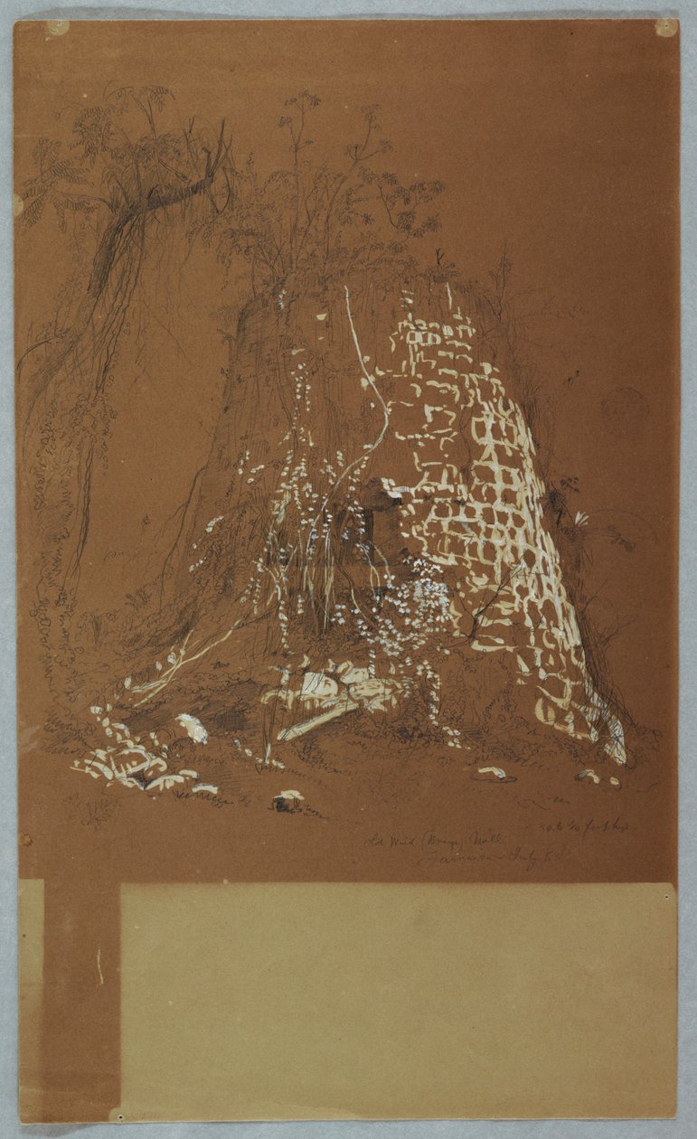Disegno, vecchio mulino a vento in rovina, Giamaica, luglio 1865 da Frederic Edwin Church
