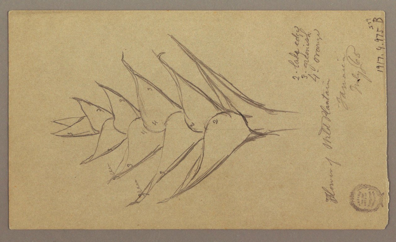 Disegno, Paesaggio marino, 29 aprile 1865 da Frederic Edwin Church
