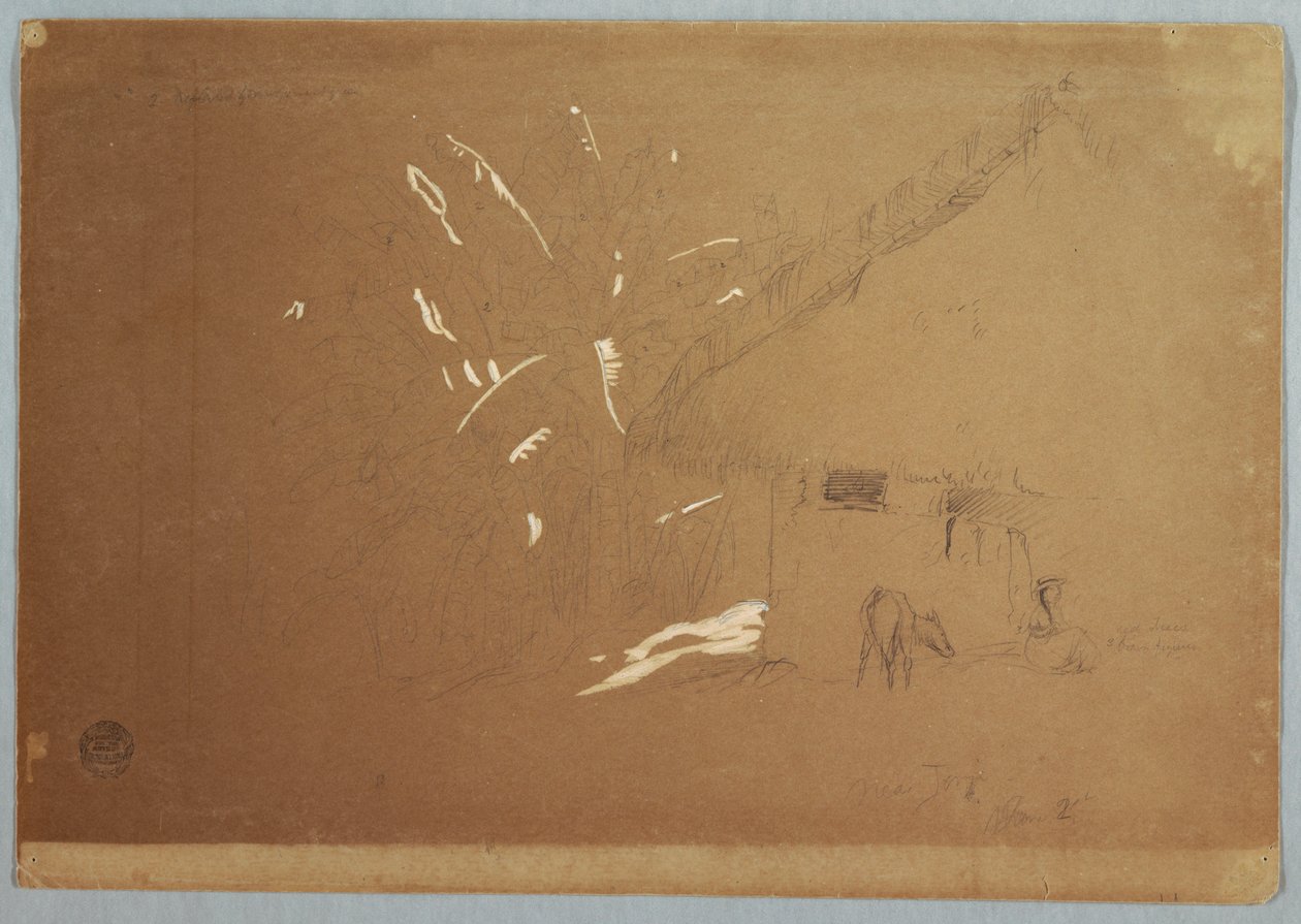 Disegno, Donna seduta e asino al pascolo davanti a una casa vicino a Jorje, Ecuador, 23 giugno 1857 da Frederic Edwin Church