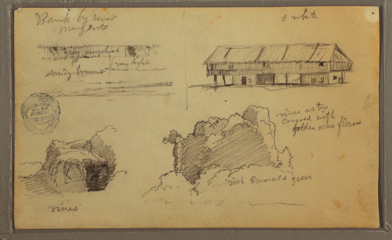 Disegno, Schizzi, Ecuador o Colombia; verso: Schizzi, Ecuador o Colombia, 1857. da Frederic Edwin Church