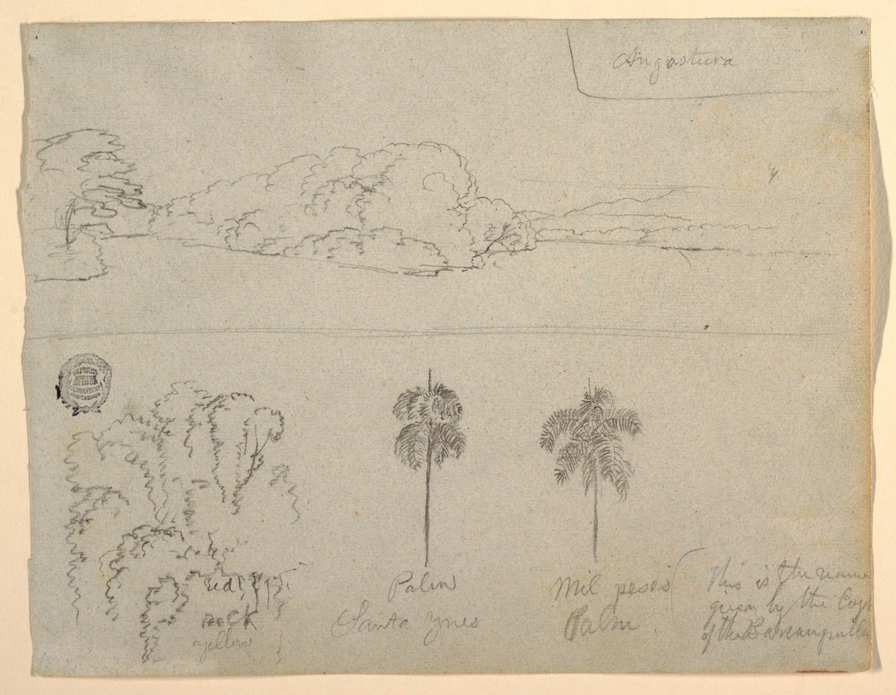 Disegno, schizzi dalla Colombia:  Riva di un fiume o di una baia, e alberi., 1853 da Frederic Edwin Church