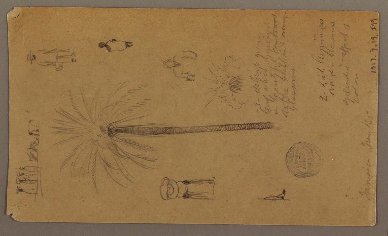 Disegno, schizzi dalla Giamaica, Indie Occidentali, giugno 1865 da Frederic Edwin Church