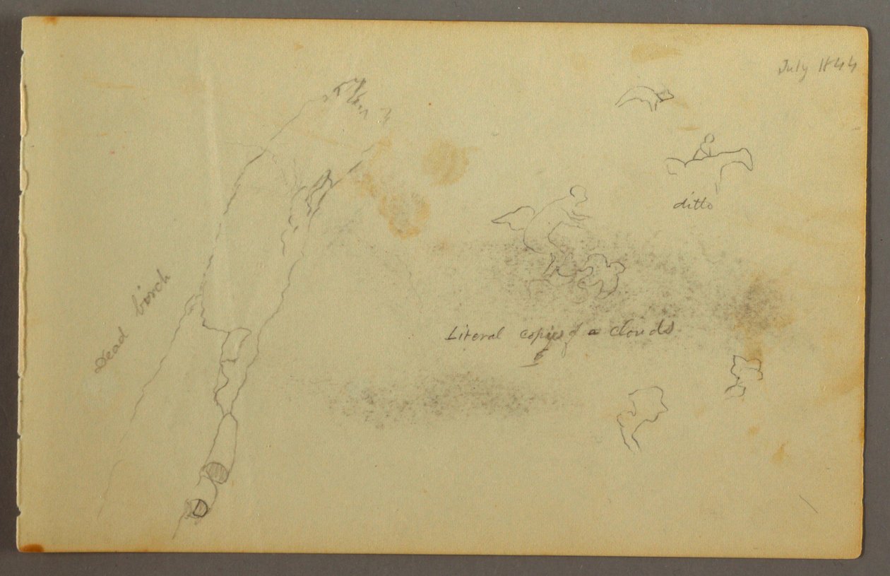 Disegno, Schizzi di nuvole e betulla morta, luglio 1844 da Frederic Edwin Church