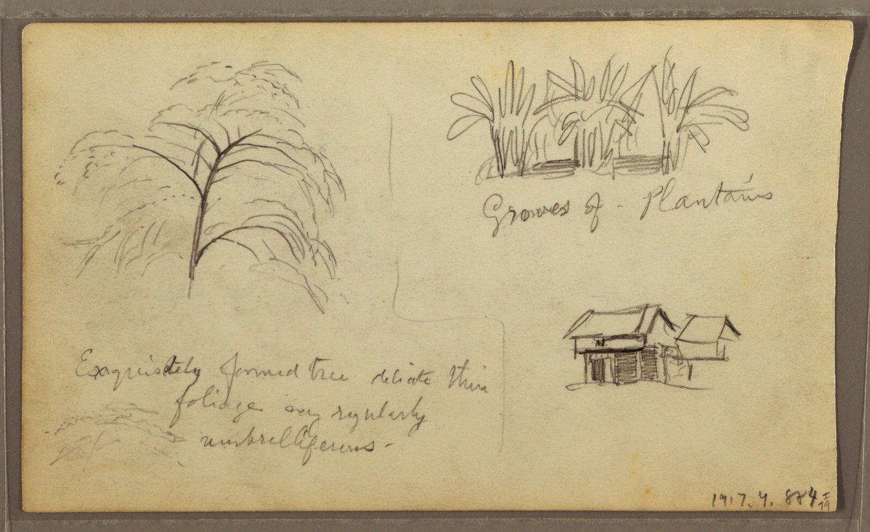Disegno, angolo di strada a Guaquil, Ecuador; verso: schizzi botanici, casa, Ecuador o Colombia, 1857 da Frederic Edwin Church