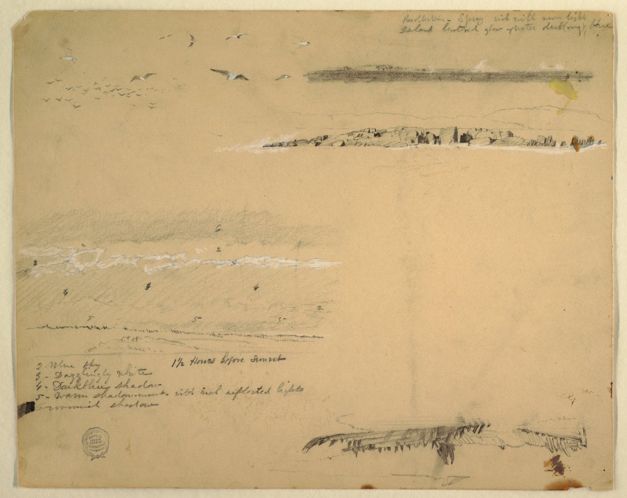 Disegno, Studi di gabbiani, costa rocciosa e cielo nuvoloso, Great Manan, Canada, settembre 1851 da Frederic Edwin Church